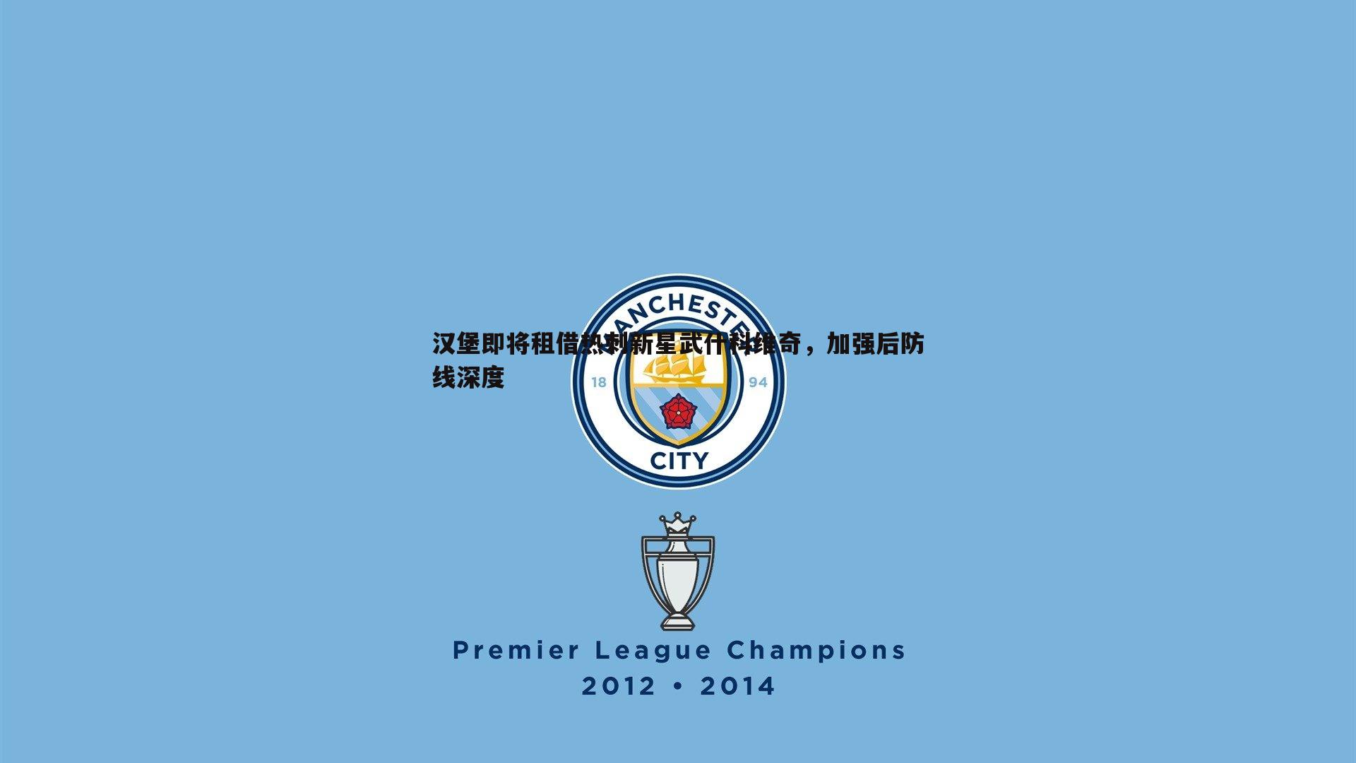 汉堡即将租借热刺新星武什科维奇,加强后防线深度